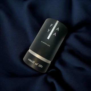 🚗💨 Buď cool, buď FAYA! Hledáš něco, co z tvýho auta udělá hotový zážitkový prostor? 🙌 Přestaň ladit svoje Spotify...